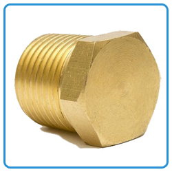 Brass Hex Plug