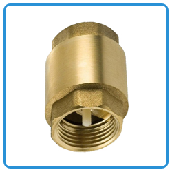 Vertical Check Valve